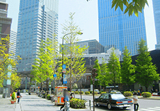 バーチャルオフィスで起業した場合の納税地は?