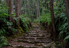 和歌山県・和歌山市のバーチャルオフィス