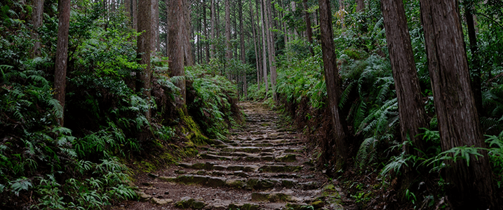 和歌山県・和歌山市のバーチャルオフィス